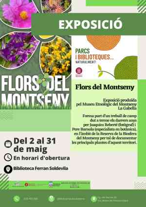 Agenda EXPOSICIONS Flors del Montseny a Santa Maria de Palautordera