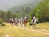  Muntar Cavall Berguedà 