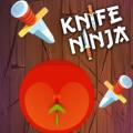 jeu gratuit Ninja land