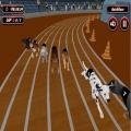 jeu gratuit La course de patrouille canine