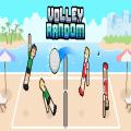 free game Volleyball challenge