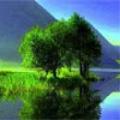 gioco gratis Fuga dalla foresta della fantasia