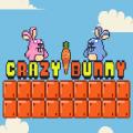 free game The crazy rabbit