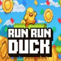 free game Run, run duck