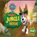 gioco gratis Gioco di coppie